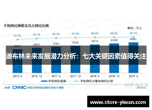 迪布林未来发展潜力分析：七大关键因素值得关注