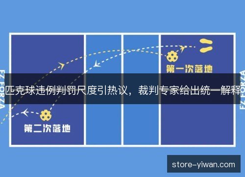 匹克球违例判罚尺度引热议，裁判专家给出统一解释
